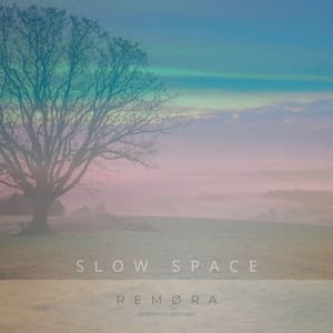 Slow Space artwork