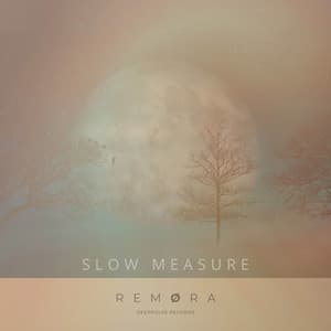 Slow Measure artwork