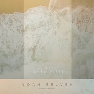 Gentle Lumen Field artwork