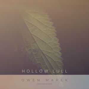 Hollow Lull artwork