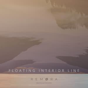 Floating Interior Line artwork