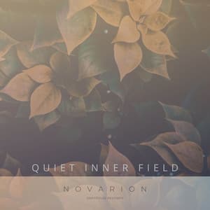 Quiet Inner Field artwork